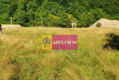 Teren de 744 mp, în Brezoi - 7