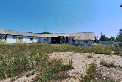 Proprietate industriala de vanzare - Hartiesti, jud. Arges - 6