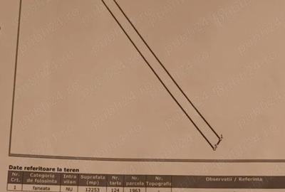 Teren de 12253 mp, în Soveja