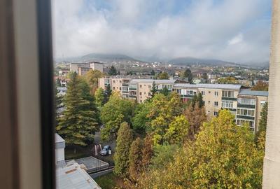 Apartament cu 3 camere decomandat în Minerul - 6