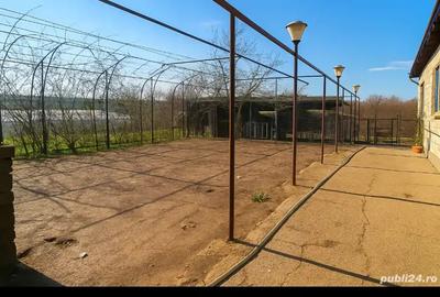 Proprietar vand casa cu teren 2500m2 in Domne?ti Ilfov - 3