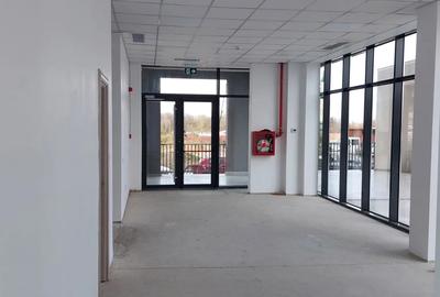 Spațiu comercial, în Noua - 3