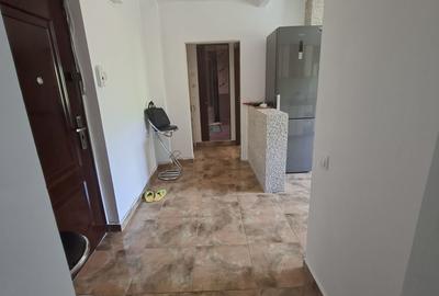 Apartament cu 2 camere decomandat, mobilat în Colentina - 8