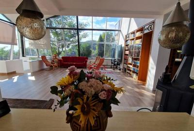 Oportunitate imobil unic,Sacaramb,langa Deva,comision 0 - 12