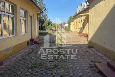 Doua case in aceea?i curte - 2