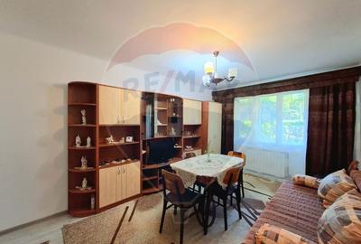 Apartament cu 2 camere decomandat, mobilat în Central
