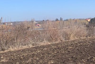 Vanzare Teren  Petrechioaia - 3