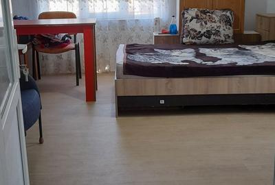 Casă cu 2 camere în Jelna - 4