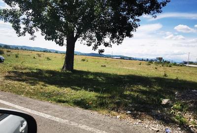 Teren de 7500 mp, în Central