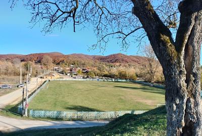 Iedera, Cricovul Dulce, casa de vanzare 90 mp, teren 2.450 mp - 2