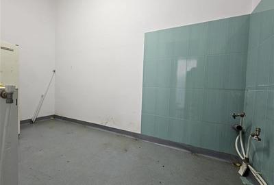 Mioritei, Spatiu comercial, 105mp - 10