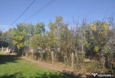 Casă cu 2 camere cu Teren 550 Mp în Fratelia - 4