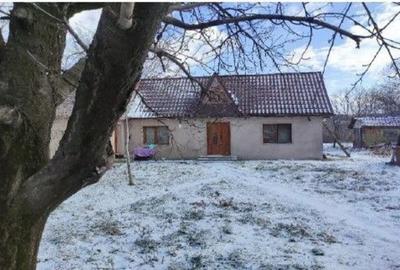 Casă cu 3 camere cu Teren 1717 Mp în Ceplenița - 9