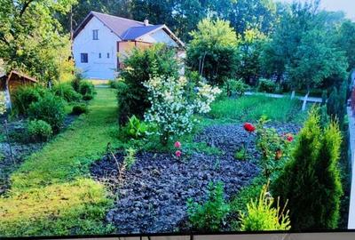 Proprietate de vanzare - 1