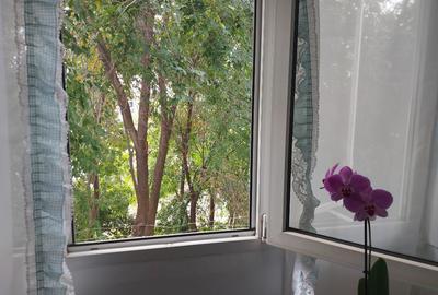 Apartament cu 3 camere decomandat în Vidin-Progresul - 3