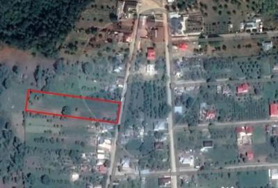 Teren de 7370 mp, în Mera - 6