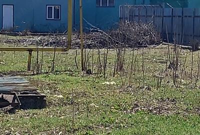 Teren de 15000 mp, în Central - 3