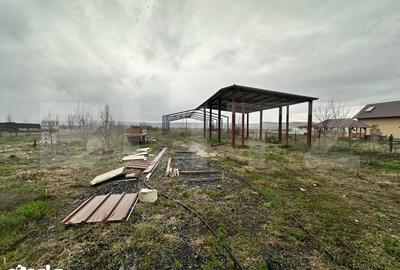 Teren de 2600 mp, în Beriu - 3