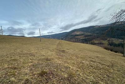 Spațiu comercial, în Albac - 3