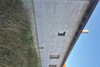 Casă cu 3 camere în Fibiș - 7