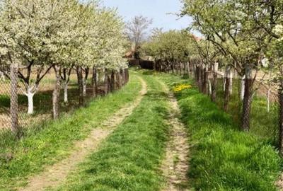 Teren de 3700 mp, în Bârsești (Budești) - 7