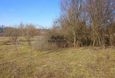 Teren de 3384 mp, în Sud - 2