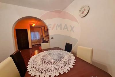 Casă cu 6 camere cu Teren 3141 Mp în Ploștina - 12