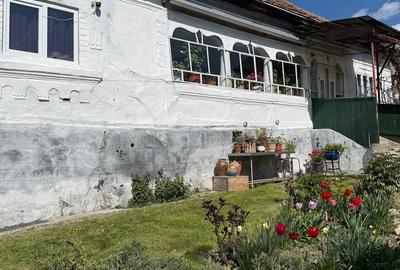 Casă cu 4 camere cu Teren 4000 Mp în Valea Popii (Mihăești) - 1