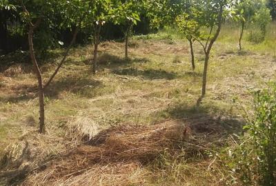 Spațiu comercial, în Cămineasca - 5