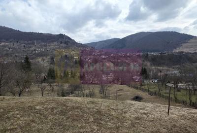 Teren Construcții intravilan de 2500 mp, în Valea Doftanei - 2