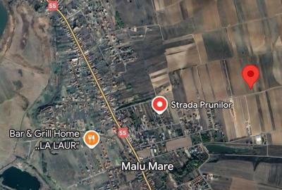 Teren de 5000 mp, în Malu Mare - 1