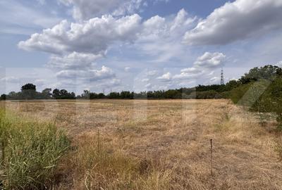 Teren Construcții extravilan de 29600 mp, în Nord-Vest - 3