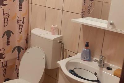 Apartament cu 2 camere decomandat în Craiovița Nouă - 9