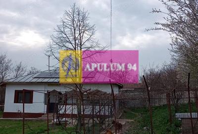 Casă cu 2 camere cu Teren 5000 Mp în Bucșani - 9