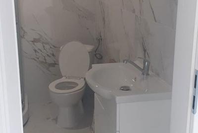 Garsonieră nedecomandată în Vișan - 2