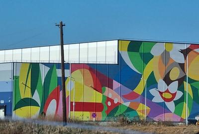 Vanzare Teren  construibil Cernica Balaceanca 1000mp - 6