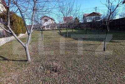 Teren Intravilan Blejoi, 1000mp , Oportunitate ! - 3