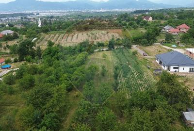 Teren pretabil constructii/10 min de Baia Mare - 1