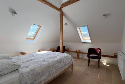 Casă individuală cu 10 camere cu Canalizare în Arefu - 17