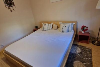 Închiriez apartament 2 camere,inedit,zonă liniștită și plină de verdeață - 3