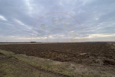 Teren 8973 mp intravilan loc. Albota, jud. Arges. Comision 0% - 3