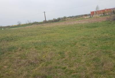 Teren de 1000 mp, în Rontău - 6