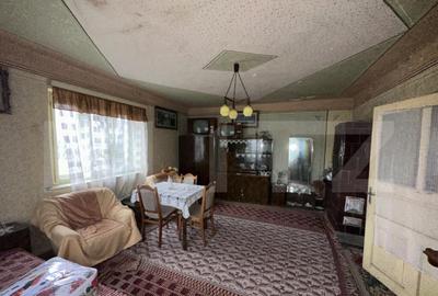 Teren 3000 mp + 2 case de vanzare-Ca?eiu - 3