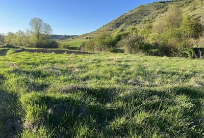 Spațiu comercial, în Sava - 5