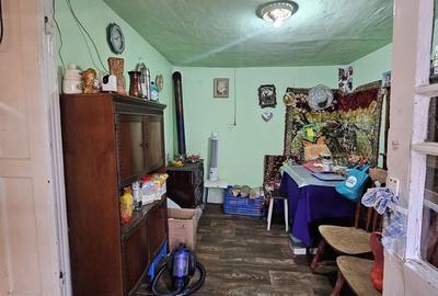 Casă cu 2 camere în Biharia - 7