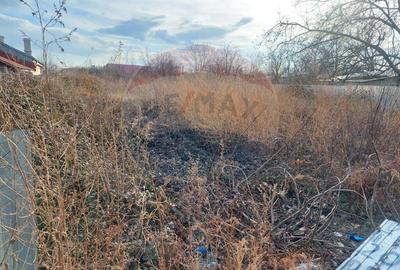 Teren 1,943mp Urechesti / Strada Principala - 6