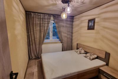 Apartament cu 2 camere semidecomandat, mobilat în Brazda lui Novac - 8