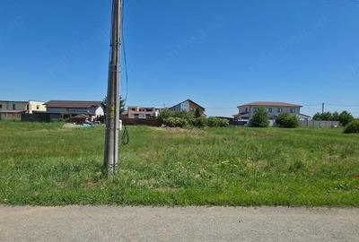 Teren de 713 mp, în Dumbrăvița - 1