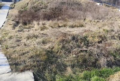 Teren de 694 mp, în Bascov - 5
