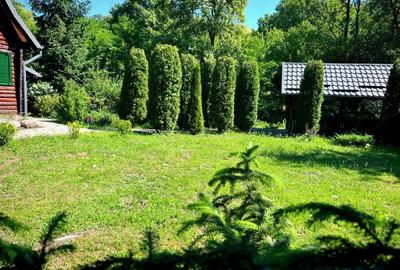 Vilă tip chalet pe malul Pârâului  Bistra - complet utilată, vedere liberă - 9